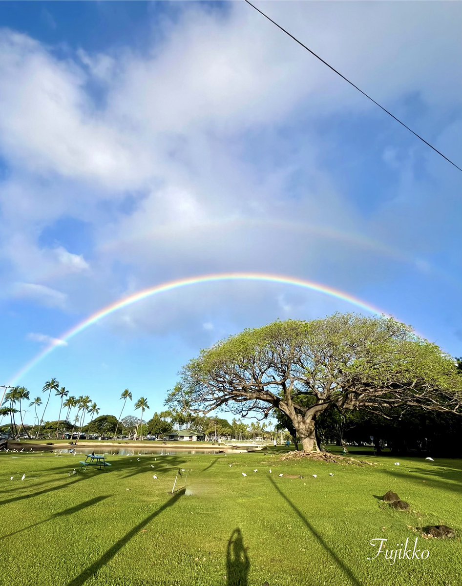 hawaiifujikko's tweet photo. 🌈 Hawai’i                        

　　　　　⋆𓈒･:*࿐𓏲 𝐻𝒶𝓅𝓅𝓎 𝒹𝒶𝓎🍀 https://t.co/30WZ0MfA3v
