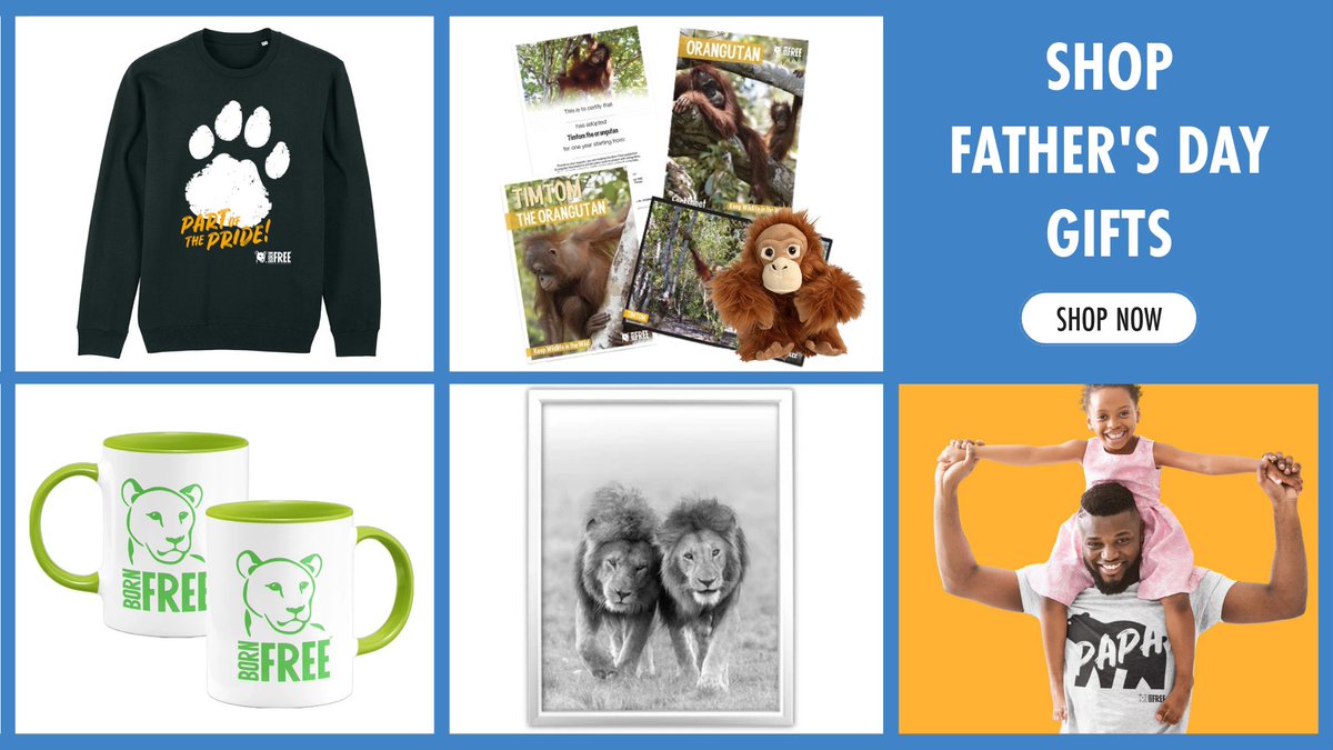 BornFreeFDN's tweet photo. With Father’s Day just around the corner on 21st June, we’re celebrating every dad, stepdad, grandad &amp; father figure in our lives. If you’re searching for a gift that’s thoughtful, meaningful &amp; makes a difference, we’ve got you covered. 

Shop online here: https://t.co/o8ZObNaM8P https://t.co/7g2ZYxjwGK