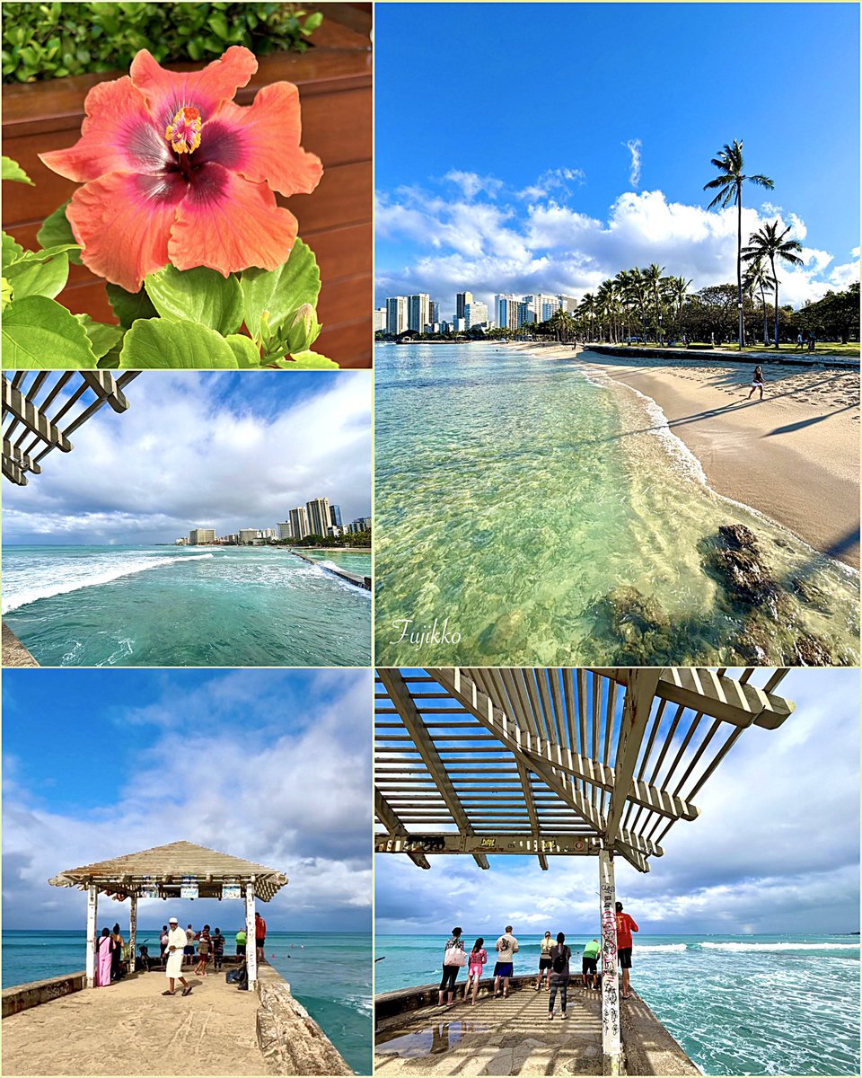 hawaiifujikko's tweet photo. 🌺🍃Hawai’i                         
　　　        
 𓏲🫧𝐻𝒶𝓋𝑒 𝒶 𝓌𝑜𝓃𝒹𝑒𝓇𝒻𝓊𝓁 𝒹𝒶𝓎*💐࿐ https://t.co/zjaUpTo5m9
