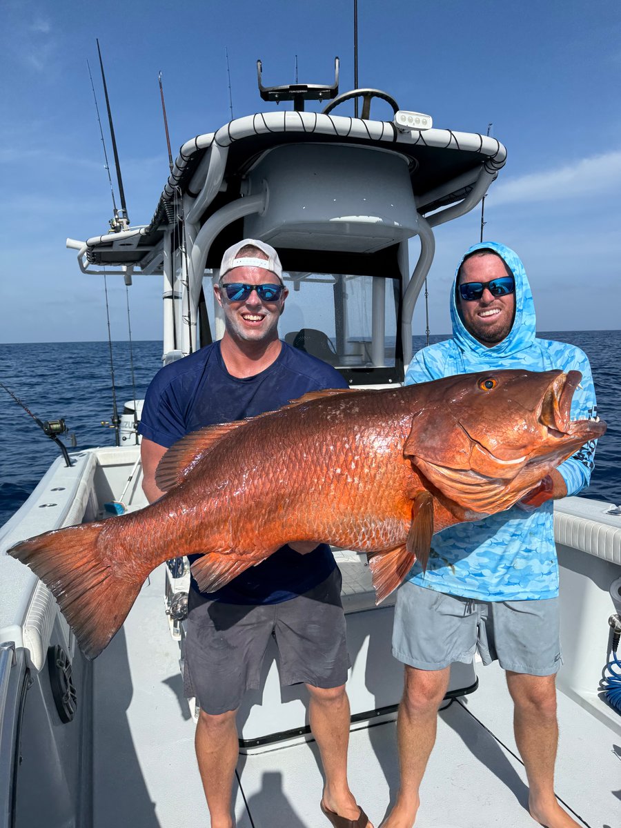 reel_guides's tweet photo. July 4th in the Florida Keys ๐บ๐ธ๐ฃ
Good weather, good company, and a nice cubera snapper to top it off.
#FourthOfJuly #FloridaKeysFishing #CuberaSnapper https://t.co/gCgdJ8HFFO