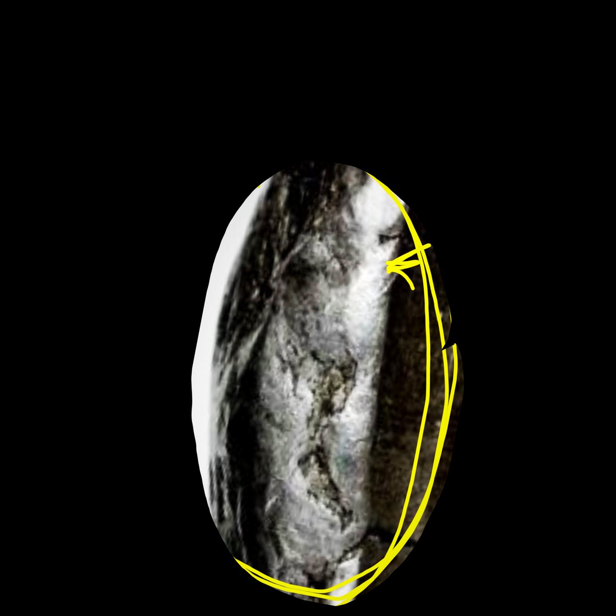 BCEsupernova's tweet photo. It’s all fake. 
My full predictive model hidden in micro. 
I placed an eye center.
It’s facing right.
Zoom in https://t.co/EMByvHLNFD