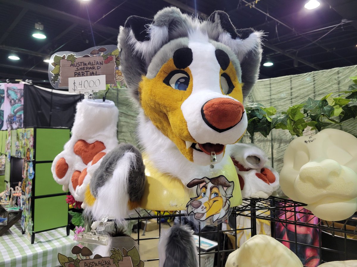 GremlinsGrove's tweet photo. Special sale! Asking 3️⃣.2️⃣k &amp;🛥.
Fits up to a 24in snug, 3d follow eyes that are sub printed, removable tongues. 
Hands are by FauxStar with beautiful lining. 
Tail is a small nub tail but a larger "undocked" tail can be made. 
Also comes with a ref sheet, a sewing kit, https://t.co/ugTVZowRXS