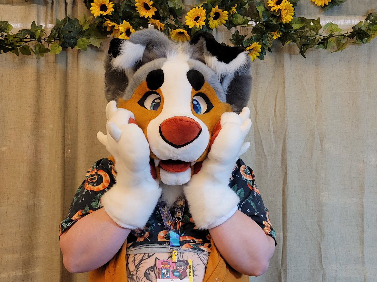 GremlinsGrove's tweet photo. Special sale! Asking 3️⃣.2️⃣k &amp;🛥.
Fits up to a 24in snug, 3d follow eyes that are sub printed, removable tongues. 
Hands are by FauxStar with beautiful lining. 
Tail is a small nub tail but a larger "undocked" tail can be made. 
Also comes with a ref sheet, a sewing kit, https://t.co/ugTVZowRXS