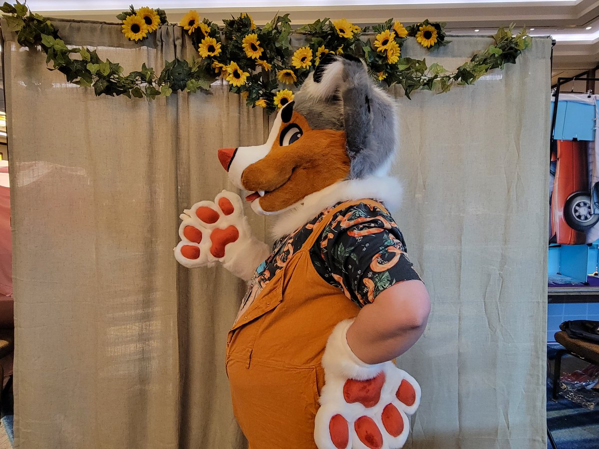 GremlinsGrove's tweet photo. Special sale! Asking 3️⃣.2️⃣k &amp;🛥.
Fits up to a 24in snug, 3d follow eyes that are sub printed, removable tongues. 
Hands are by FauxStar with beautiful lining. 
Tail is a small nub tail but a larger "undocked" tail can be made. 
Also comes with a ref sheet, a sewing kit, https://t.co/ugTVZowRXS
