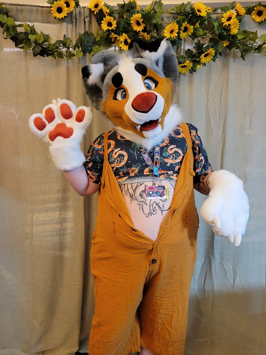 GremlinsGrove's tweet photo. Special sale! Asking 3️⃣.2️⃣k &amp;🛥.
Fits up to a 24in snug, 3d follow eyes that are sub printed, removable tongues. 
Hands are by FauxStar with beautiful lining. 
Tail is a small nub tail but a larger "undocked" tail can be made. 
Also comes with a ref sheet, a sewing kit, https://t.co/ugTVZowRXS