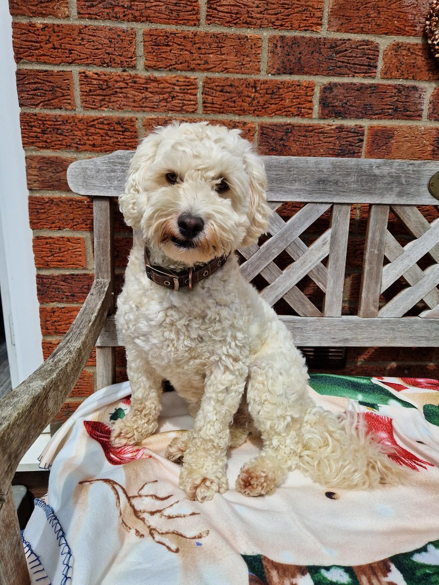 jennystape's tweet photo. @BabyMiloHenry Milo??? I'm Jack, Rupert sent me to heal M&amp;D when he went OTRB 👋😘❤️❤️❤️❤️❤️❤️❤️ https://t.co/rRAISCkGst