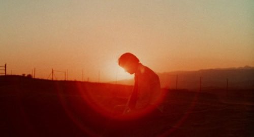 jimsweatshirt's tweet photo. I finally watched Spielberg’s Duel, i feel like no one talks about how great this one is https://t.co/fXe5k658y9