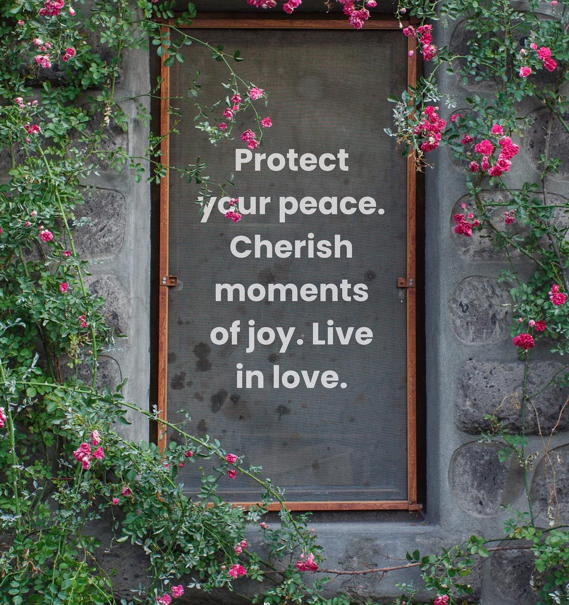 LIVEpositivity's tweet photo. Protect your peace. Cherish moments of joy. Live in love. ✨💖 https://t.co/R9fM52a0uY