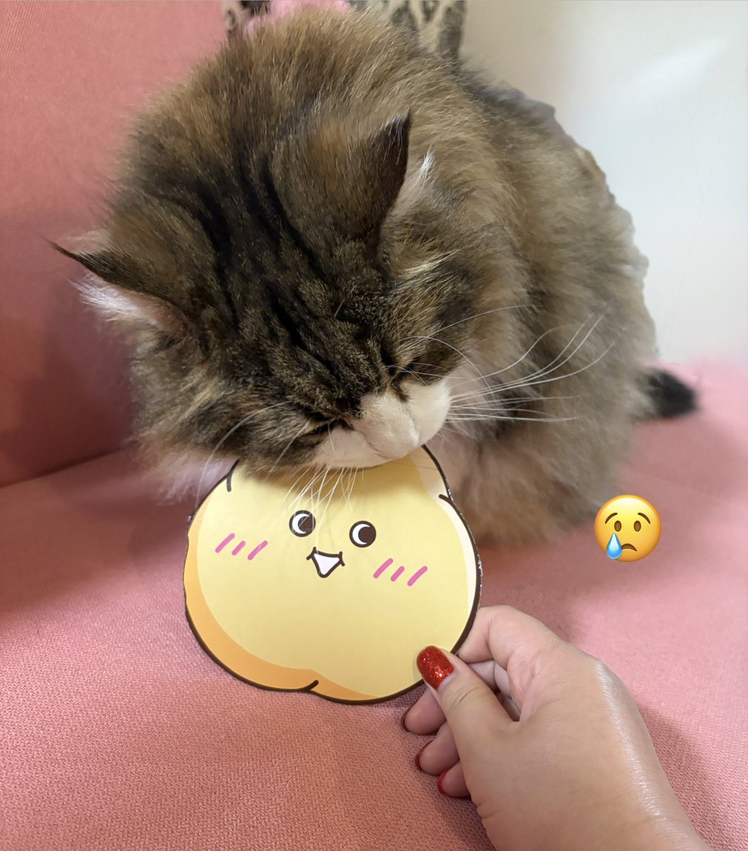 Emily様！ (@Emilynecochan) / Posts / X