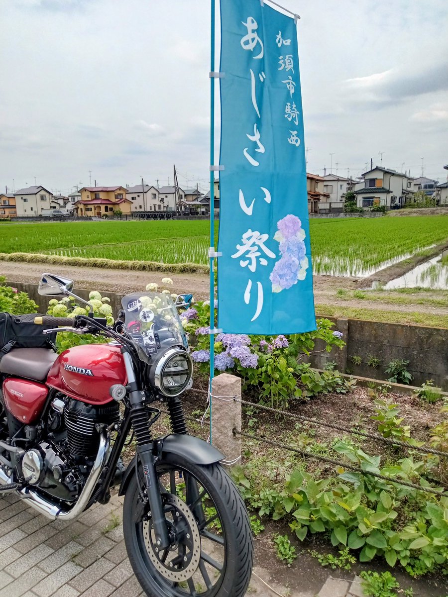 GGtorako's tweet photo. 騎西総合公園付近
梅雨の晴れ間にお散歩ツー。
#GB350 
#アジサイ https://t.co/bh8rGSsl5p