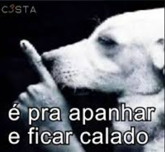 _Caiof3's tweet photo. @NBAdoPovo https://t.co/BtekSEOs4h