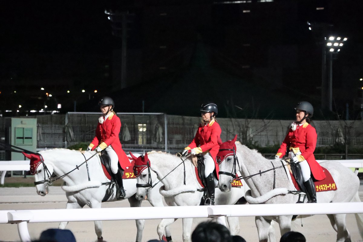 Air_1239's tweet photo. 大井競馬の誘導馬🐴🥕
ランパク
クリールマグナム
ナイキスターゲイザ
カフジフェニックス
#大井競馬場
#誘導馬 https://t.co/qZJKC1EATe