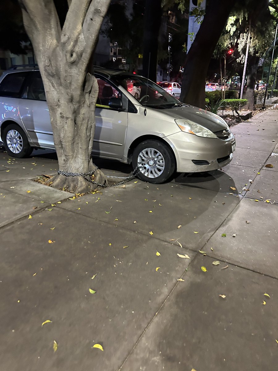 heartless_av's tweet photo. Hola! @UCS_GCDMX aquí no es estacionamiento, ni se debería usar el arbol para eso, favor de retirar el coche y aplicar la infracción. Eje central entre San Borja y Kiff en @BJAlcaldia gracias https://t.co/Itvkl7PL4t