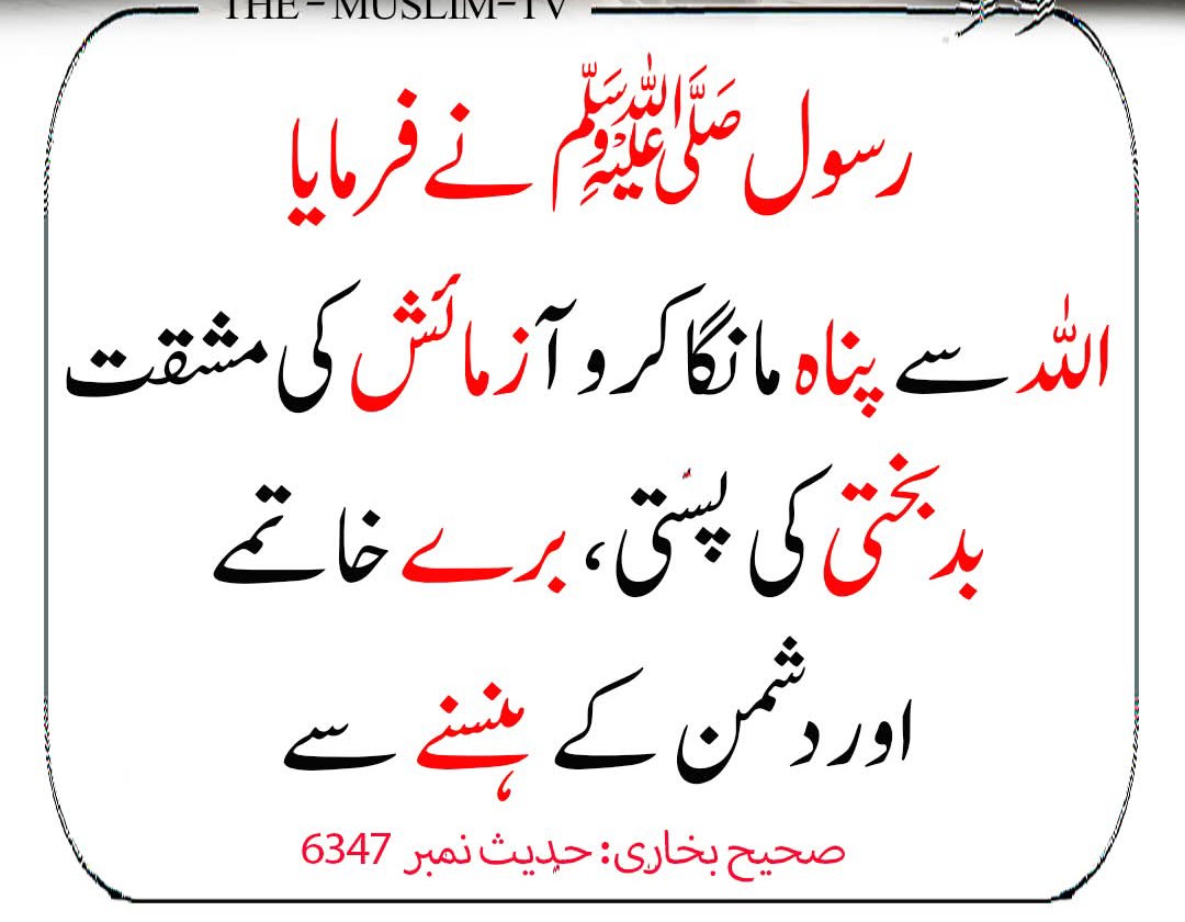 Ajmal_804's tweet photo. رسول اللّٰہ ﷺ نے فرمایا: https://t.co/pWGyFukVdI