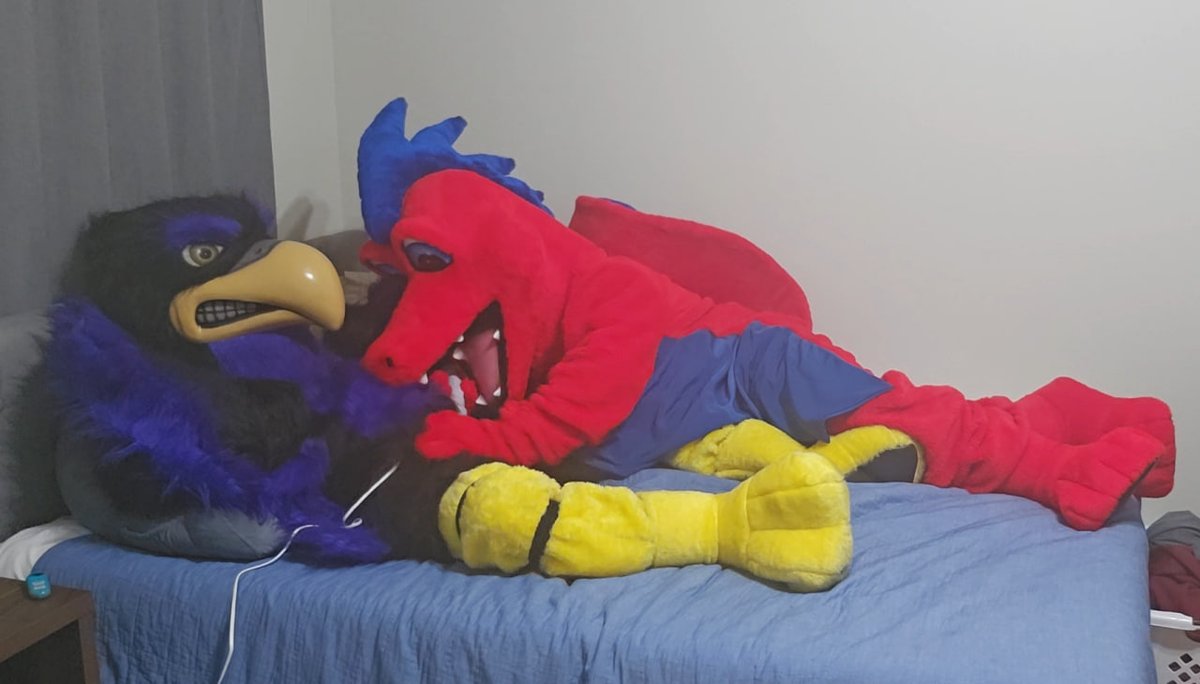 CostumedDragon's tweet photo. little preview of what happened last night :3 https://t.co/r1TvlxmBn2