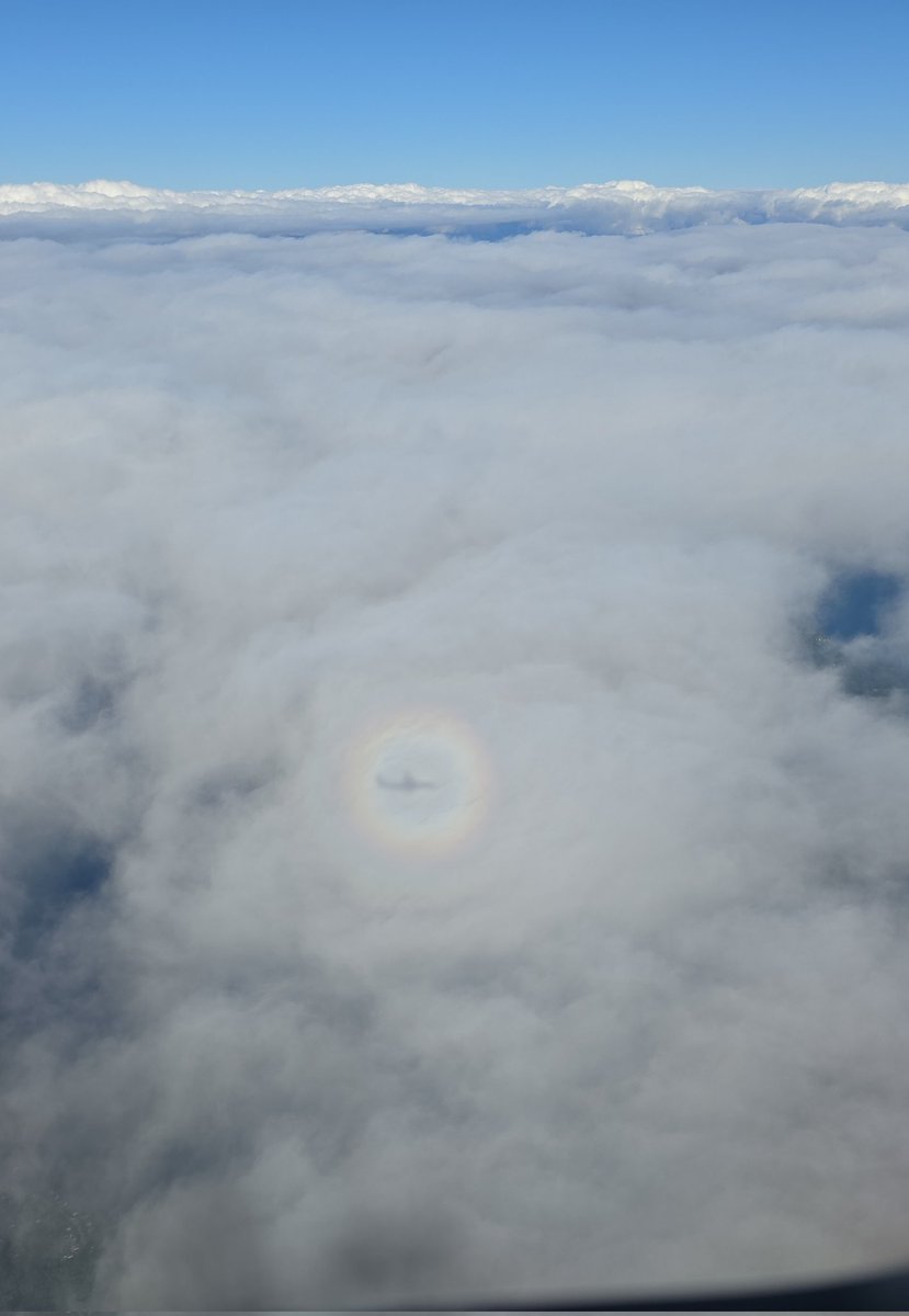 shawnapandya's tweet photo. How cool is this? The way the sun reflected off our airplane created a 360-rainbow with the shadow of our plane projected onto the clouds! I was so mesmerized I watched this until we descended below the cloudy screen and the magical moment evaporated away. 😍🌈✈️☁️ https://t.co/uguYLXvR3l