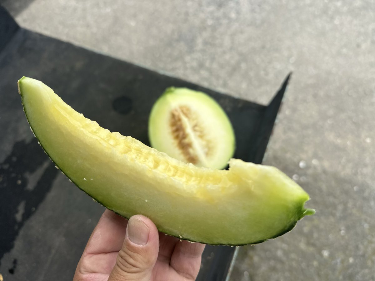 飯島貴 Post by 飯島一貴 on X: 出来た🍈