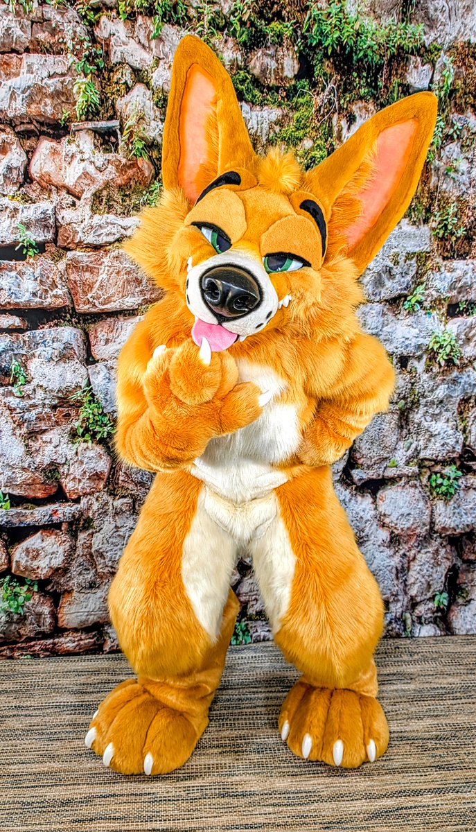 MoreFurLess's tweet photo. Their name may be Sweet 🫛 but I sense some deviousness behind that smile 🤨 https://t.co/3Agt2cRBCX