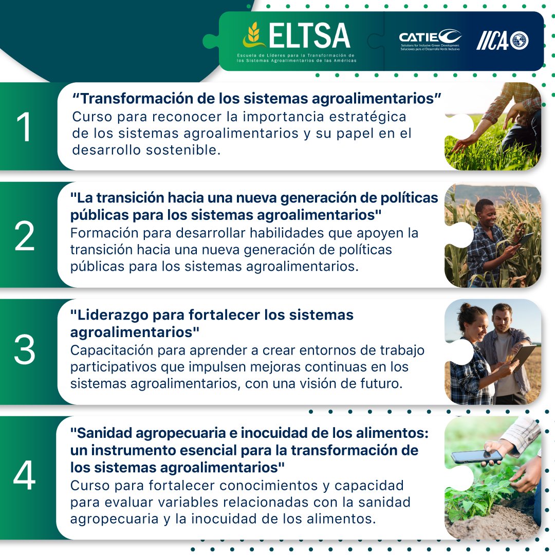 IICAnoticias's tweet photo. 🎓 Capacítate para liderar el cambio agroalimentario.

🙌 Conoce aquí los cursos de la Escuela de Líderes para la Transformación de los Sistemas Agroalimentarios (ELTSA) y prepárate para impulsar sistemas agroalimentarios más sostenibles, inclusivos y resilientes en las Américas. 🌱

Postúlate ahora: https://t.co/h2ATU1XkU7 

🌐 Más información: https://t.co/eEeWURsXhM 
📧 admisiones.eltsa@iica.int
📲 Escríbenos por WhatsApp: +506 6438 8910

@CATIEOficial 

#ELTSA #FormaciónDeLíderes #Cursos #TransformaciónAgroalimentaria #SistemasAgroalimentarios