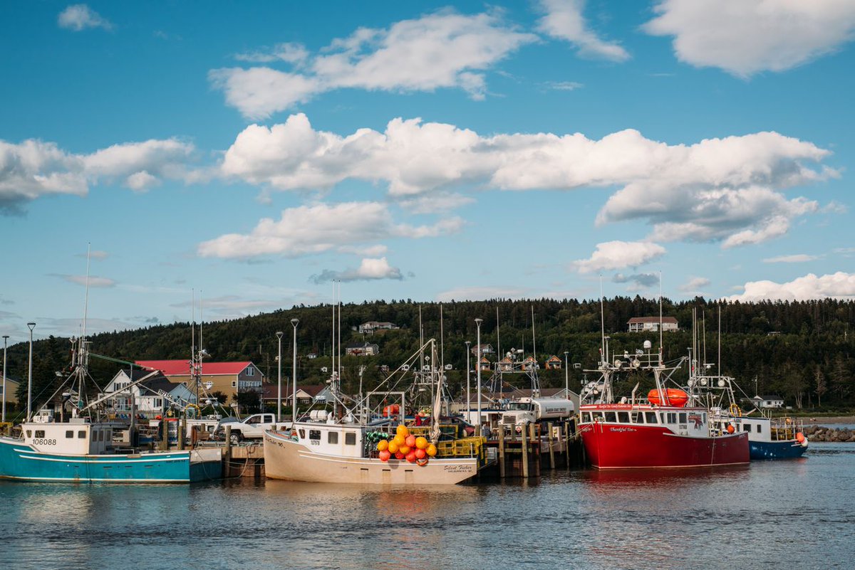 CGExec's tweet photo. Atlantic Canadian communities can now access $76 million in federal funding through the Build Communities Strong Fund to repair and upgrade local infrastructure. #AtlanticCanada #Infrastructure #ACOA #EconomicDevelopment

https://t.co/189RfAiP0Y https://t.co/n70sXIFoNt
