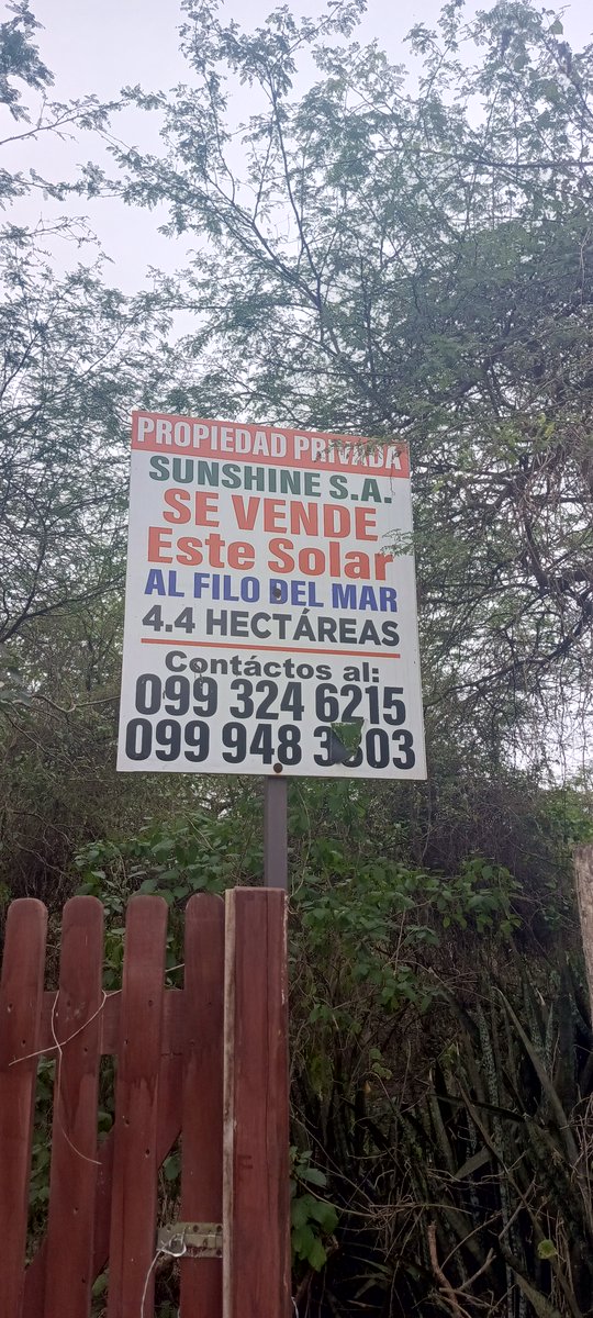 AndresDuranEc's tweet photo. ¿Adivinen de quién era este "SÚPER SOLAR" al filo del mar en Santa Elena? Monika lo sabía y lo denunció. No se pierdan el programa de hoy a las 18hrs. Por favor, contacten al número, se van a sorprender. https://t.co/N94ETdyj1L