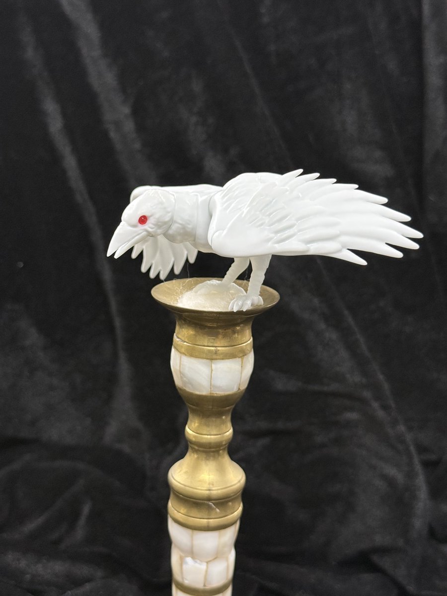 PIPOSDOLL's tweet photo. 2026年6月15日まで受注受付中 🐦⬛
Preorder ends June 15, 2026 (KST)🐦⬛
6월15일 판매마감입니다.
White Raven
The first creature — Raven
#PIPOSDoll #PIPOSCreatures #WhiteRaven #ArtFigure #Raven https://t.co/YN825vTOcV
