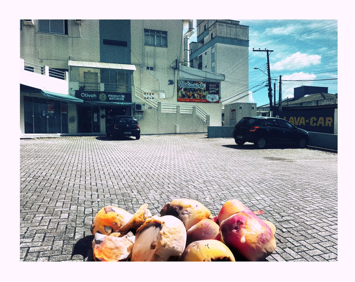 dronce's tweet photo. Florianópolis-990 - djronce https://t.co/LhUtcSpVfu via @ArtPal https://t.co/LBgydiObuW