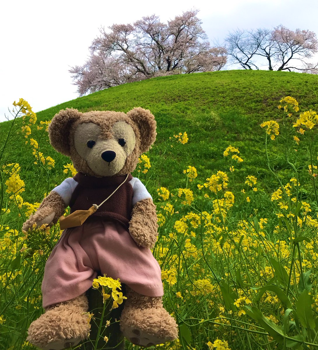 kumanosuke_d's tweet photo. #これを見た人は無言で黄色が入っている画像を貼れ https://t.co/zM7km0TGor