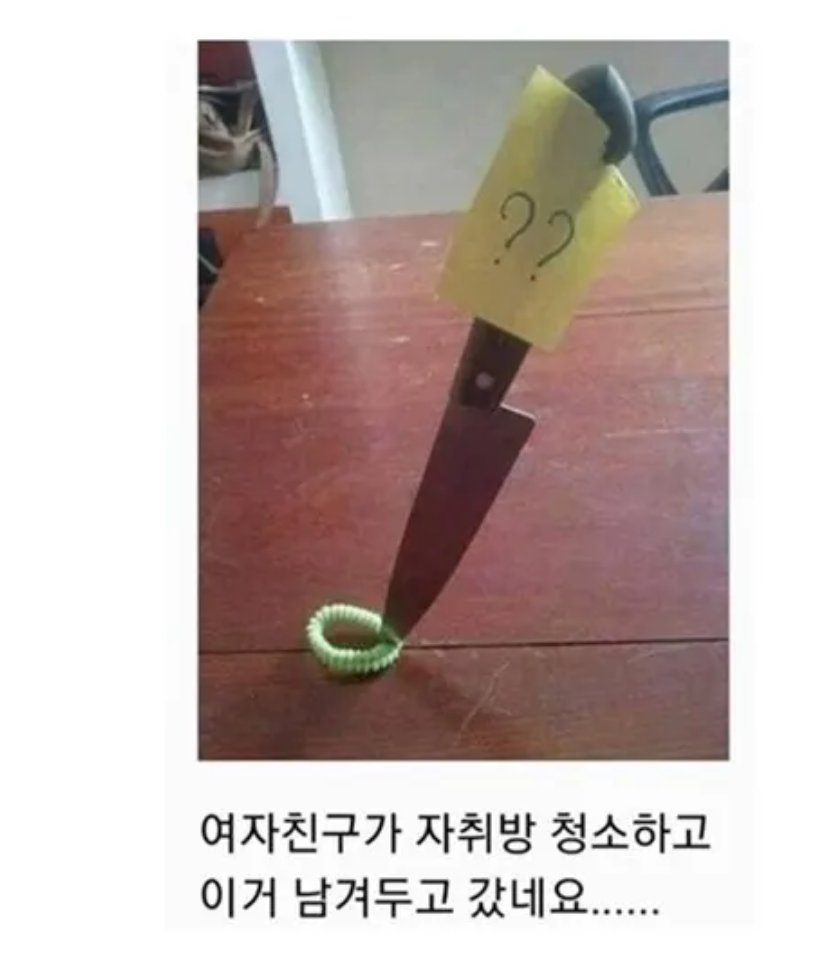 테미 forever tweet media