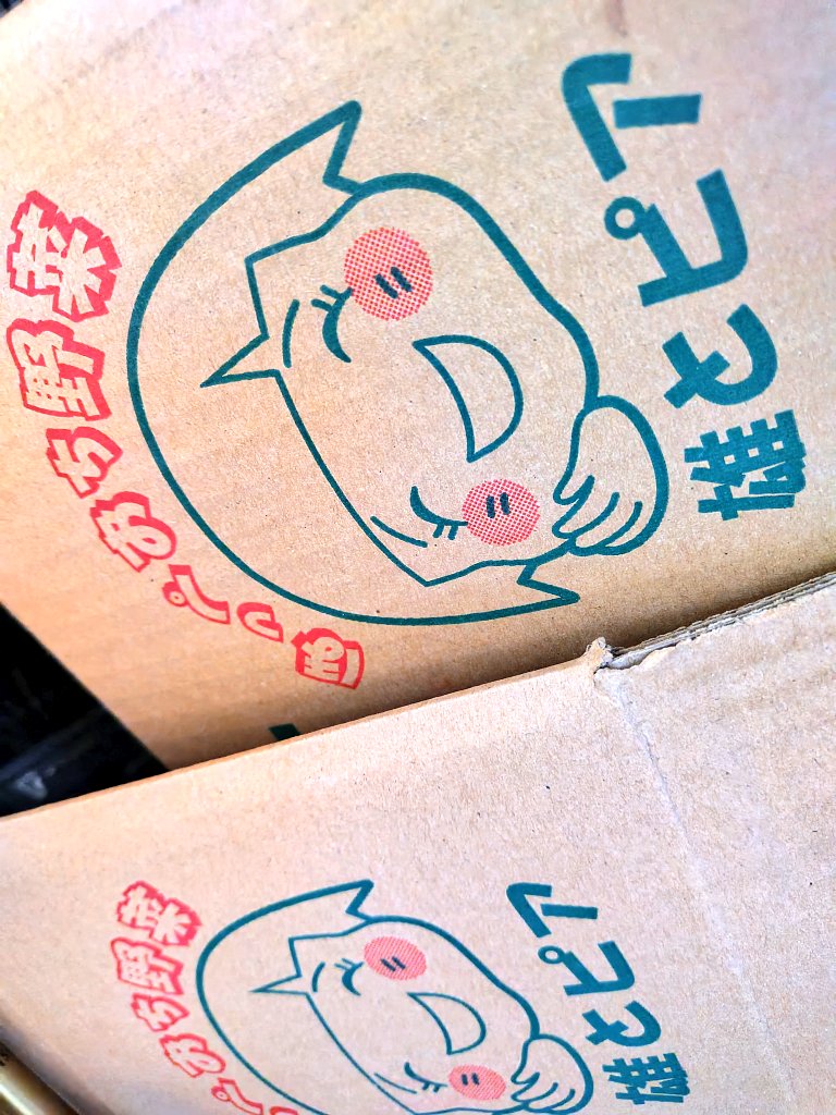 avccampiguchi's tweet photo. 千々石展望台の名物「じゃがちゃん」に使われている長崎県産じゃが「デジマ」を箱買いしてたけど、食べ終わりました。

写真奥は昨年買った新じゃが入れてた段ボール… https://t.co/SOKNtkinlU