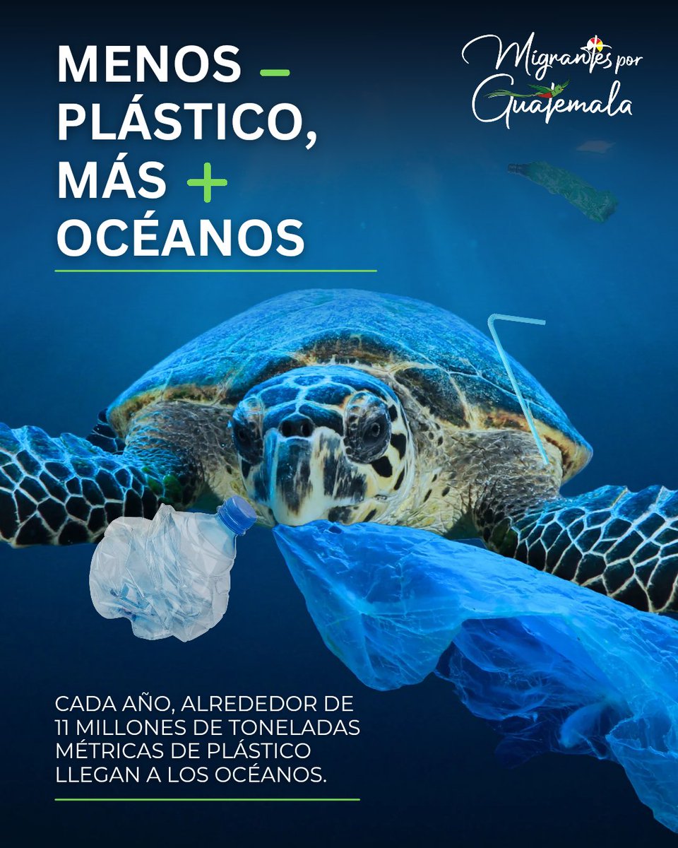 MigrantesPorGT's tweet photo. 🚯 Cada botella abandonada puede dañar la vida marina por años. El mar no necesita más basura, necesita más conciencia. 🌊🐢💙 https://t.co/2piFWHqy8L