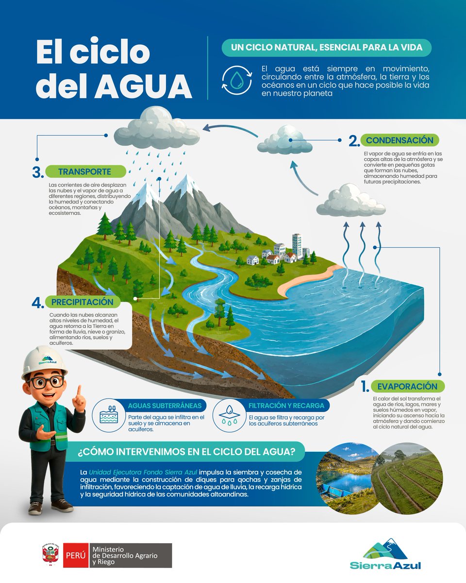 UEFSA_PERU's tweet photo. 💧 El agua sigue un ciclo natural que hace posible la vida. Desde la UEFSA contribuimos a fortalecer ese ciclo mediante la siembra y cosecha de agua, promoviendo la recarga hídrica.

#CicloDelAgua #MidagriPerú #SierraAzul  #SiembraYCosechaDeAgua https://t.co/toA5c87sgt