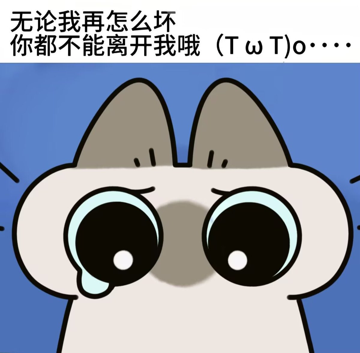 DokiDokissfg's tweet photo. 上一批爱我的人已经开始恨我了，我现在很需要一批新的爱我的 https://t.co/f5jwzmuevz