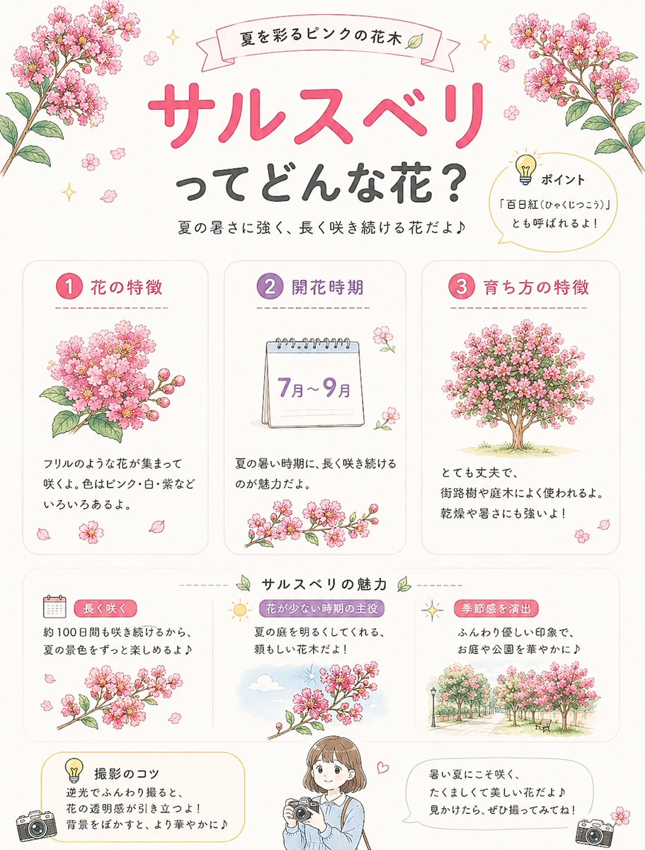 r_photolog's tweet photo. 今の時期撮れるシーズンのお花についてまとめました

・実はたくさんあるよ！紫陽花の種類解説
・フェンスに咲く小さなオレンジの花って？
・ハイビスカスみたいな花があった！
・サルが滑りそうなくらいの幹にみえるのはサルスベリ！

これだけ知っておけば夏のお花はバッチリです https://t.co/uta66hwRDi