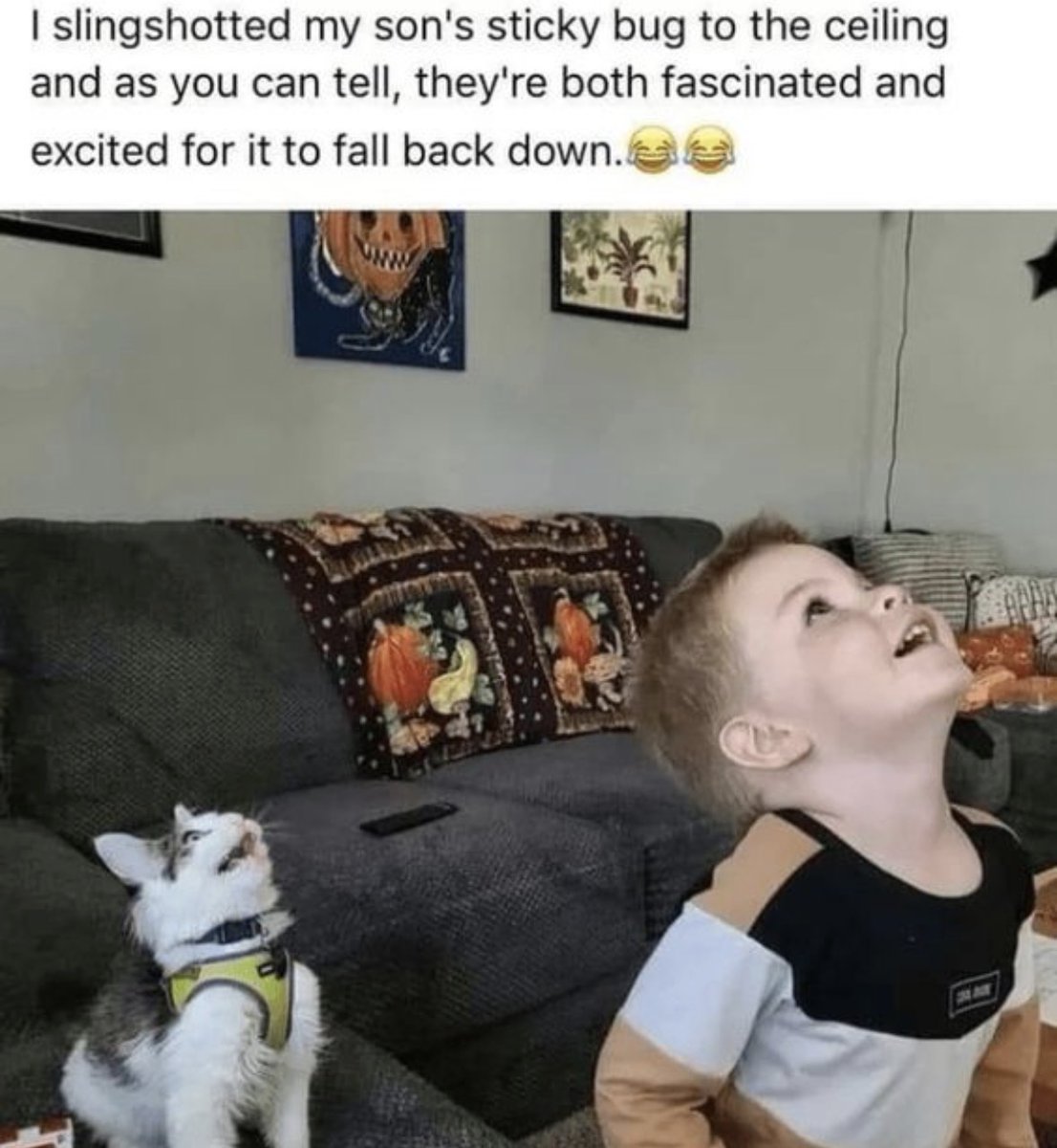 RespectfulMemes's tweet photo. https://t.co/YaJjm4ajKo