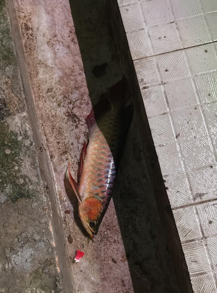 WongAlasRoban's tweet photo. Renungan :

SAKARATUL MAUT
Tidak ada jabatan yg bisa menolaknya.
Tidak ada uang yg mampu menyuapnya.
Tidak ada dokter yg bisa menghentikannya.

Saat waktunya tiba…
manusia paling kuat sekalipun akan tak berdaya.
Itulah sakaratul maut. https://t.co/gJ6o5LbeEG