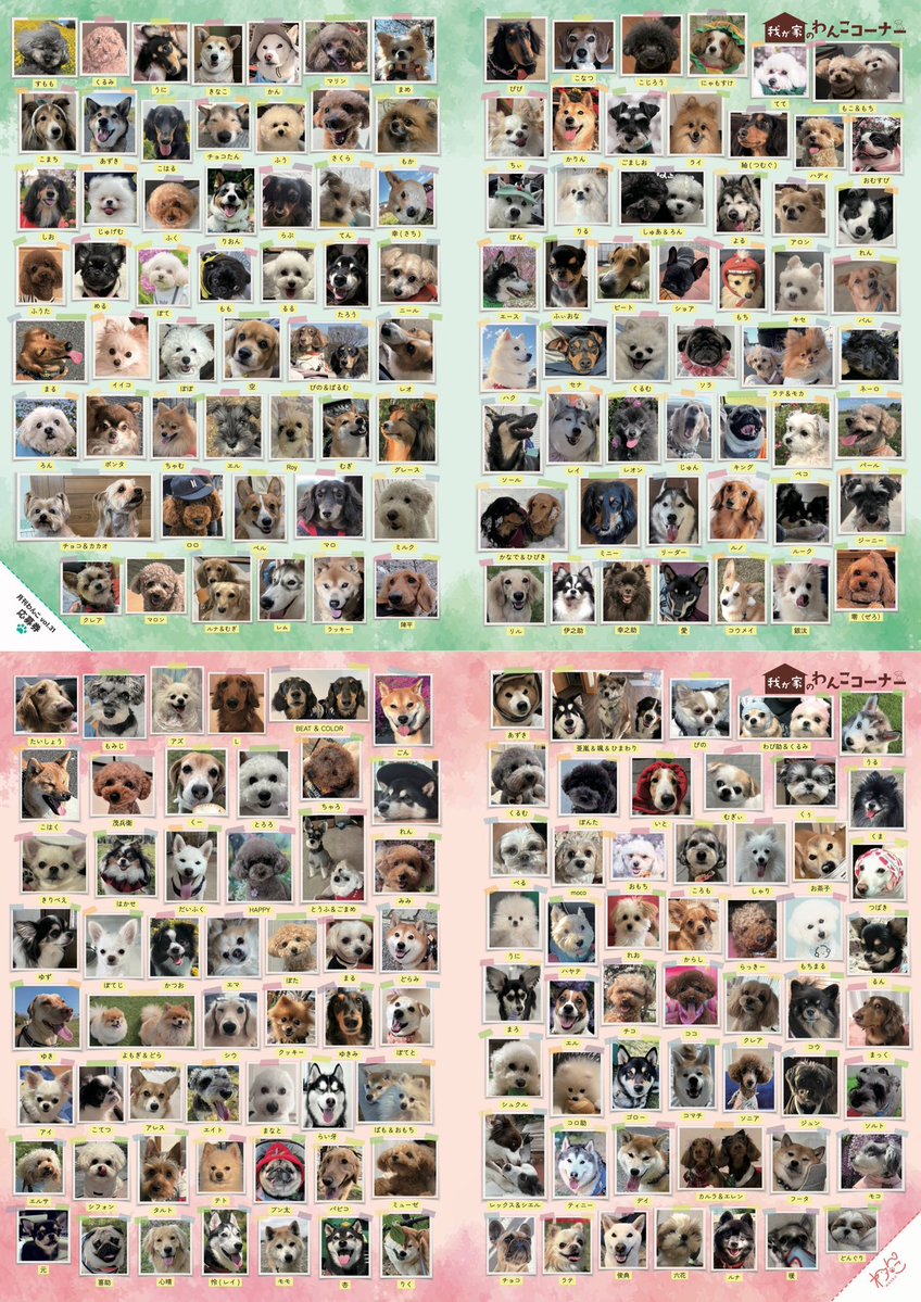 gekkan_wanko's tweet photo. 【当選者発表】
こちらの写真は月刊わんこvol.31『我が家のわんこコーナー』に掲載されています👏🐶㊗️掲載されていたらリポストのご協力をお願いします👏

最速で受け取れる先行販売中❣️
▶︎通常版→https://t.co/CdbYZKBbsF
▶︎Special Edition→https://t.co/asCiPTRAmz

当選発表は画像をご確認ください📖

@ukkariyonme
@mamemame_wanko
@garh8436
@gtkanzoooox
@fy_hawks26
@yunoootaniii
@0304_Yumipurin
@Rinkuma3021
@modannna
@lee0087
@Ri_svg
@mikkanballsome1
@manakuma827
