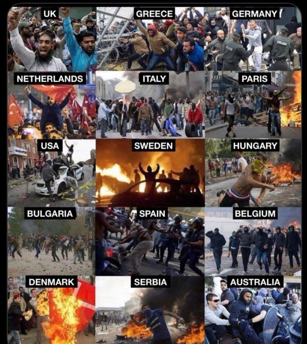 DozerSherman's tweet photo. @christianbrexit No its disgusting. I want to see whites for whites only ! https://t.co/gc2xvd2crX https://t.co/paNwJhVDTA