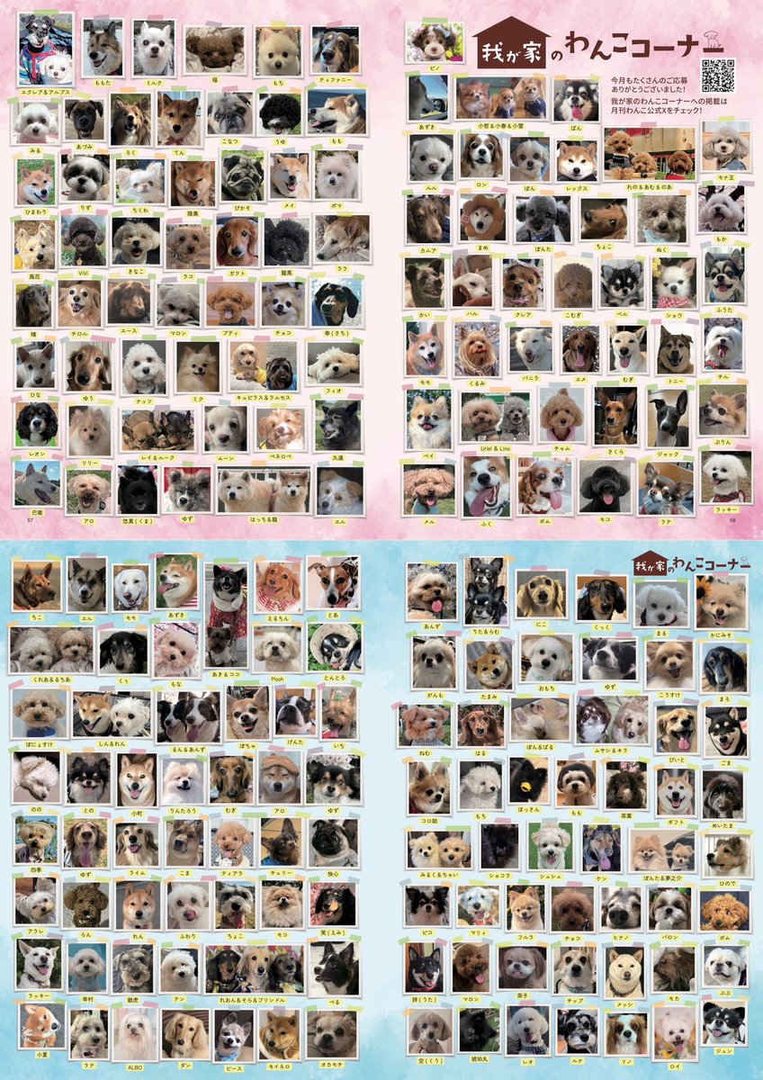 gekkan_wanko's tweet photo. 【当選者発表】
こちらの写真は月刊わんこvol.31『我が家のわんこコーナー』に掲載されています👏🐶㊗️掲載されていたらリポストのご協力をお願いします👏

最速で受け取れる先行販売中❣️
▶︎通常版→https://t.co/CdbYZKBbsF
▶︎Special Edition→https://t.co/asCiPTRAmz

当選発表は画像をご確認ください📖

@ZAONGh5lcW9U8ng
@churaaai
@nOhlzbZ9x6KwLmE
@wanchan_mm
@tadanokangoshi
@82_ski
@min01282081
@__t412__
@hbk061184694604
@eaa7102
@m_hn63
@marimeruu