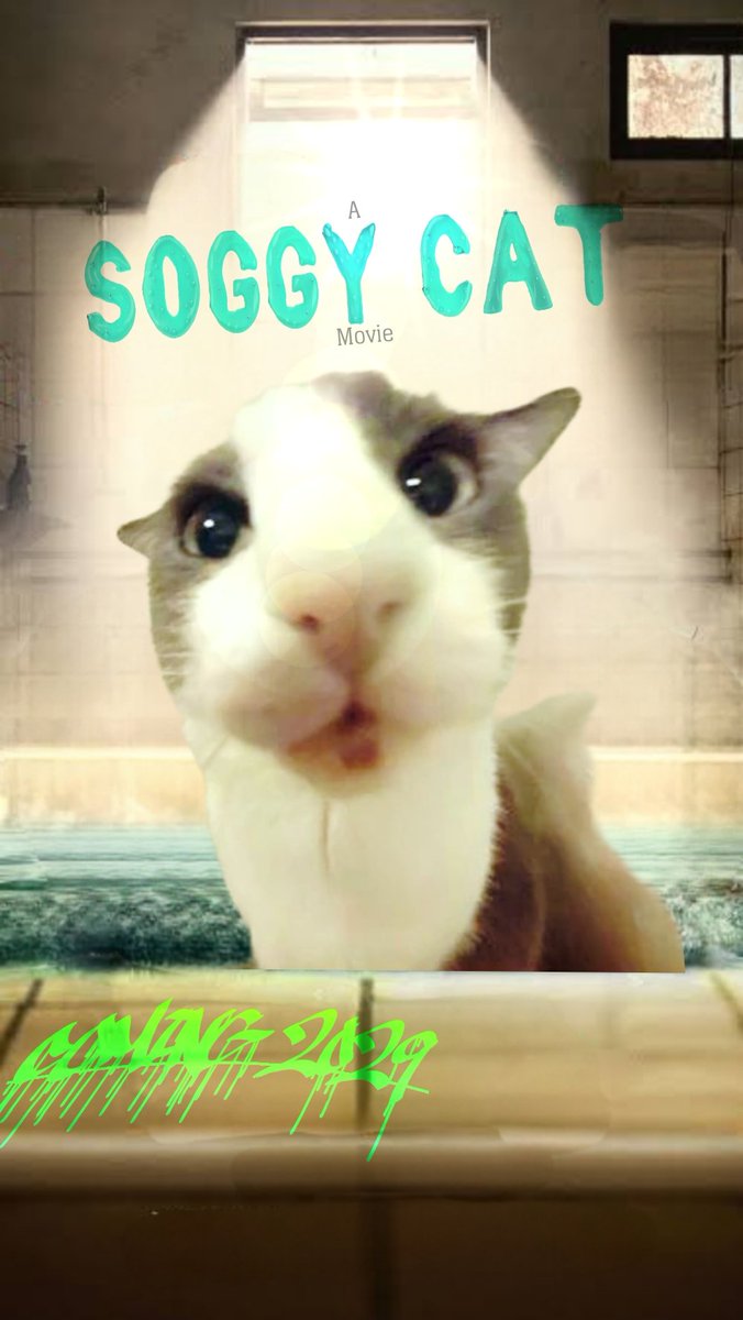 soggy cat tweet media
