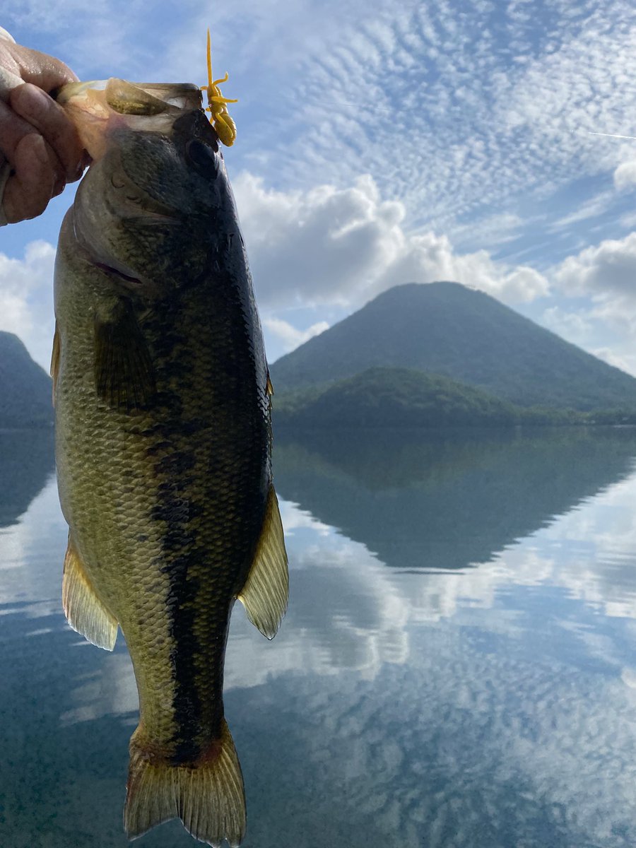 kenichio0729's tweet photo. おはようございます☀️
仕事前に今週3回目の朝練🔥

【オリカネムシⅡ】本日も炸裂中‼️ https://t.co/NtgaGQcrp9