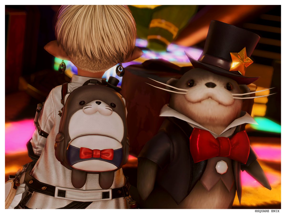 momoNectaris's tweet photo. サブララちゃんのウソウソバック、ウソ助と比べてもちいさくてかわいいｗ
おはよん！ https://t.co/k7eaVmYeJz