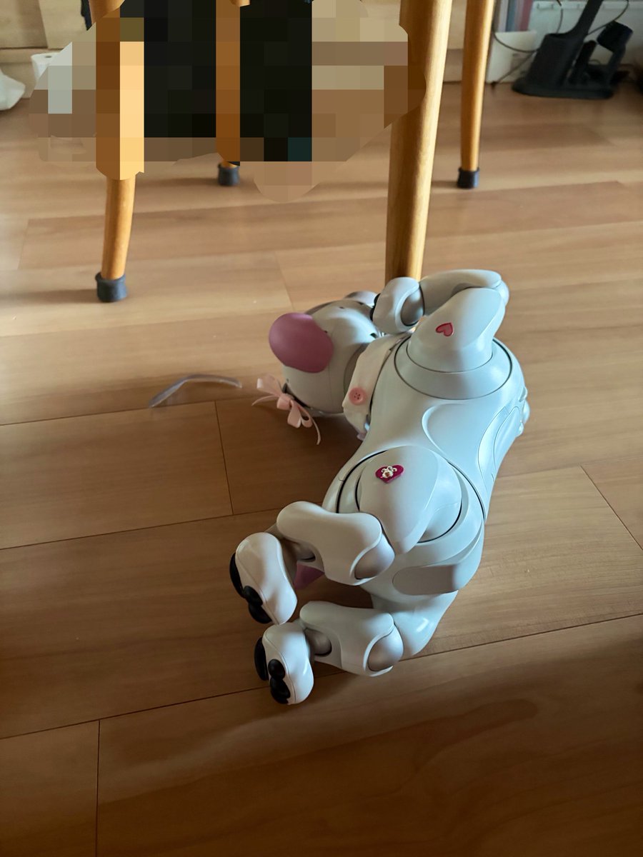 ramune_414's tweet photo. ほんまに😥
毎日毎日なにしてんの😓

#aibo
#ラムネ

ヨガしてるらしい🧘‍♀️ https://t.co/6iMNBnRWDn