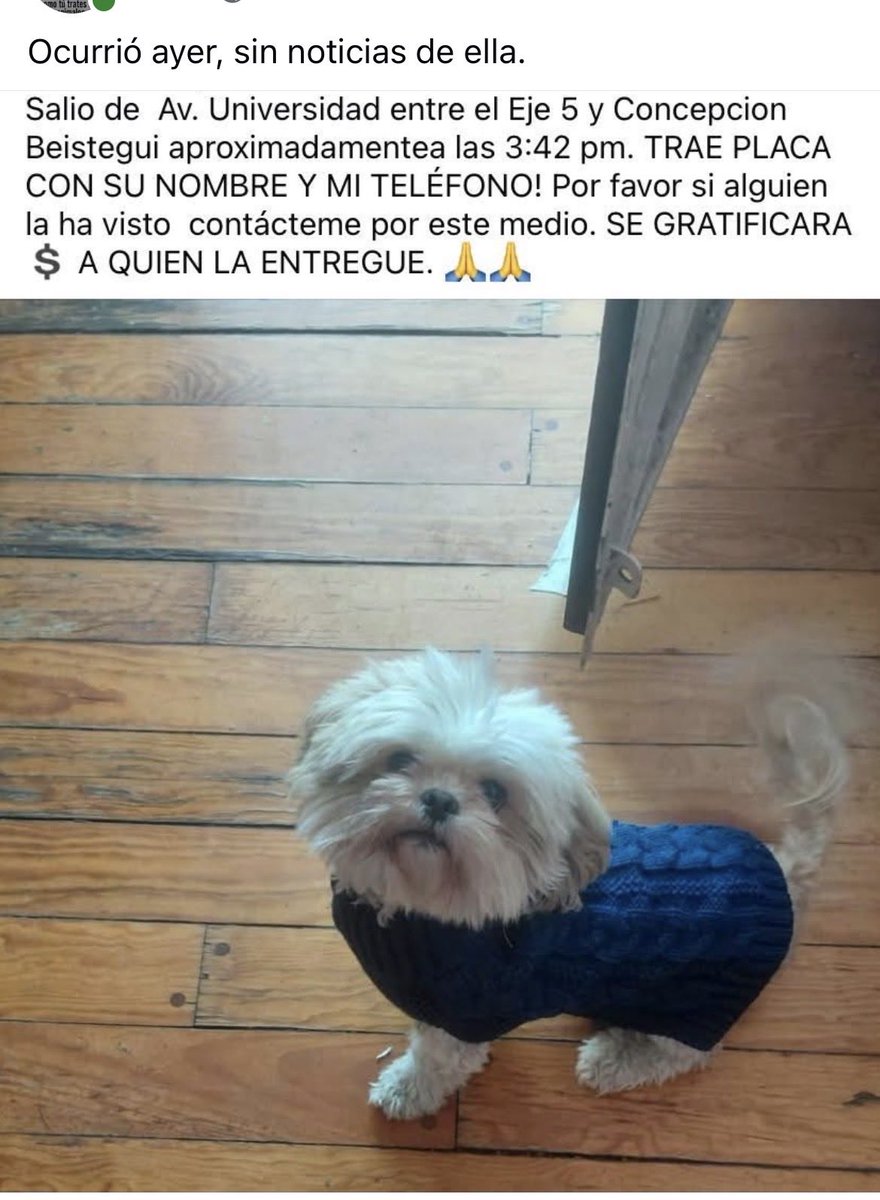 IsabelJunco's tweet photo. @En_laDelValle  @Delvalle_Quejas  @NarvarteVecinos https://t.co/Hy3qxczKfc