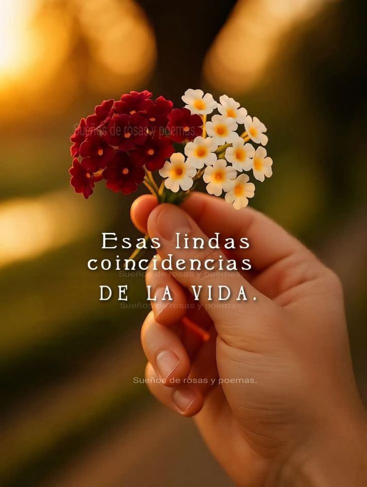 La___ly's tweet photo. #Coincidencias https://t.co/nt9ePsEifw