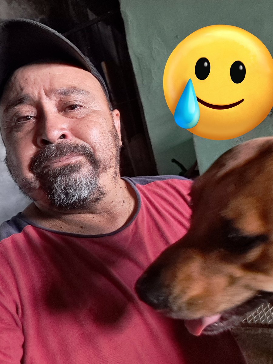 JorgeJaime_1's tweet photo. Sus oraciones por mi se que tengo que salir adelante pero siento un dolor tan grande se que tengo mas perritos por los cuales luchar solo pido tiempo y que no me dejen solo    ( apoyo para alimento productos de limpieza bolsas para basura etc y alimento húmedo q me urge) https://t.co/eMamq6VMFp