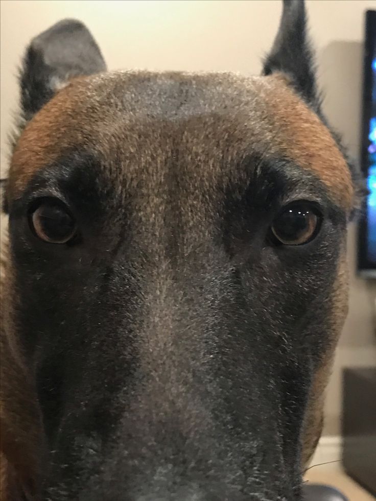 judasarrow's tweet photo. can i come over and stare
at you like this https://t.co/K8atvjzeio