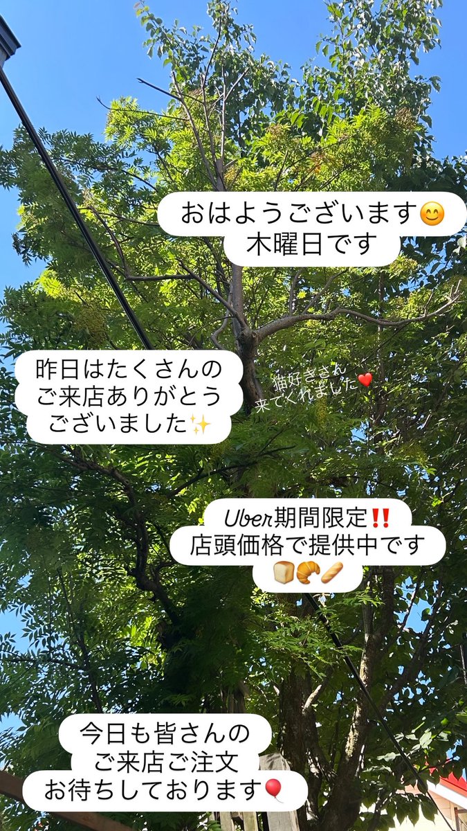 pan_hidamari's tweet photo. おはようございます¨̮ )/
木曜日です
昨日はたくさんのご来店ありがとうございました
▶Uber店頭価格◀で提供中🍞🥖
ご来店ご注文お待ちしております🎈

週末は金森ホール開催『花市』へ出店します❁⃘*.ﾟ
13(土)15(月)臨時休業になります

#パン #にゃこぱん #ぱんの店ひだまり https://t.co/hwxl8L57PN