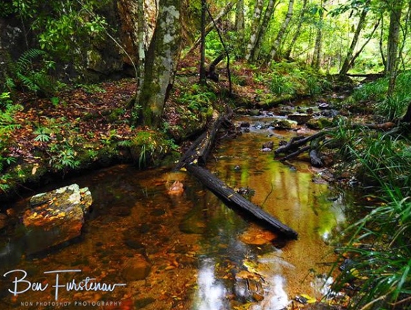 RestPointGroup's tweet photo. Winter is a beautiful time to visit the Glen Innes Highlands - and chances are you have beautiful places like this all to yourself
Photo by @benfurstenau

Sunday 14th June in the Glen Innes Highlands:
Forecast temperature: 6 - 18 degrees
Daily forecast: Partly cloudy. https://t.co/Xt0O02WJN5