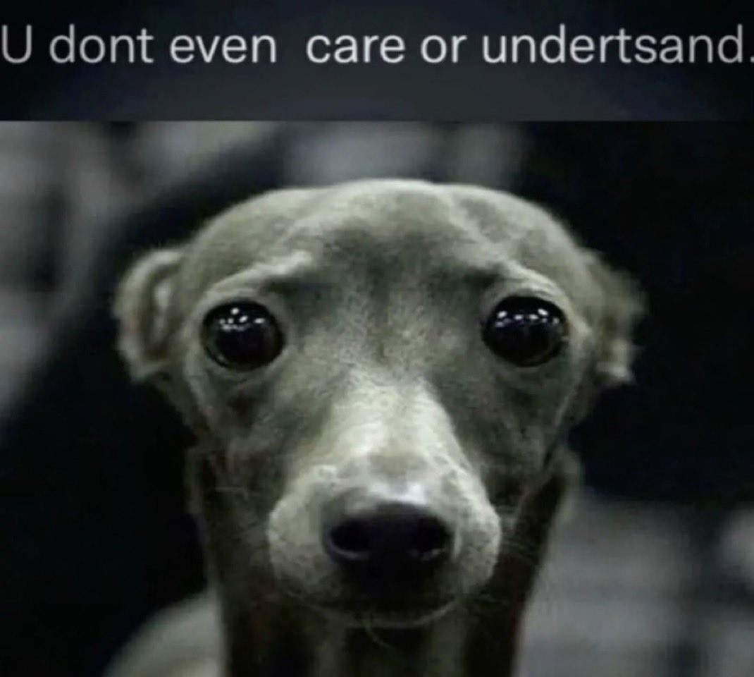 pormensa's tweet photo. when my coworkers complain about being tired from working 2-3 days of the week 🤩🤩🤩🤩 at our very easy job 🤩🤩🤩 https://t.co/rP5SZoZCzH